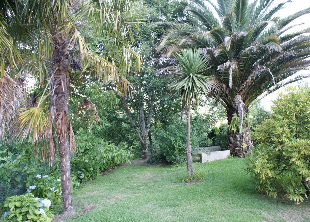 Quinta De Canhoes São Pedro do Sul Dış mekan fotoğraf