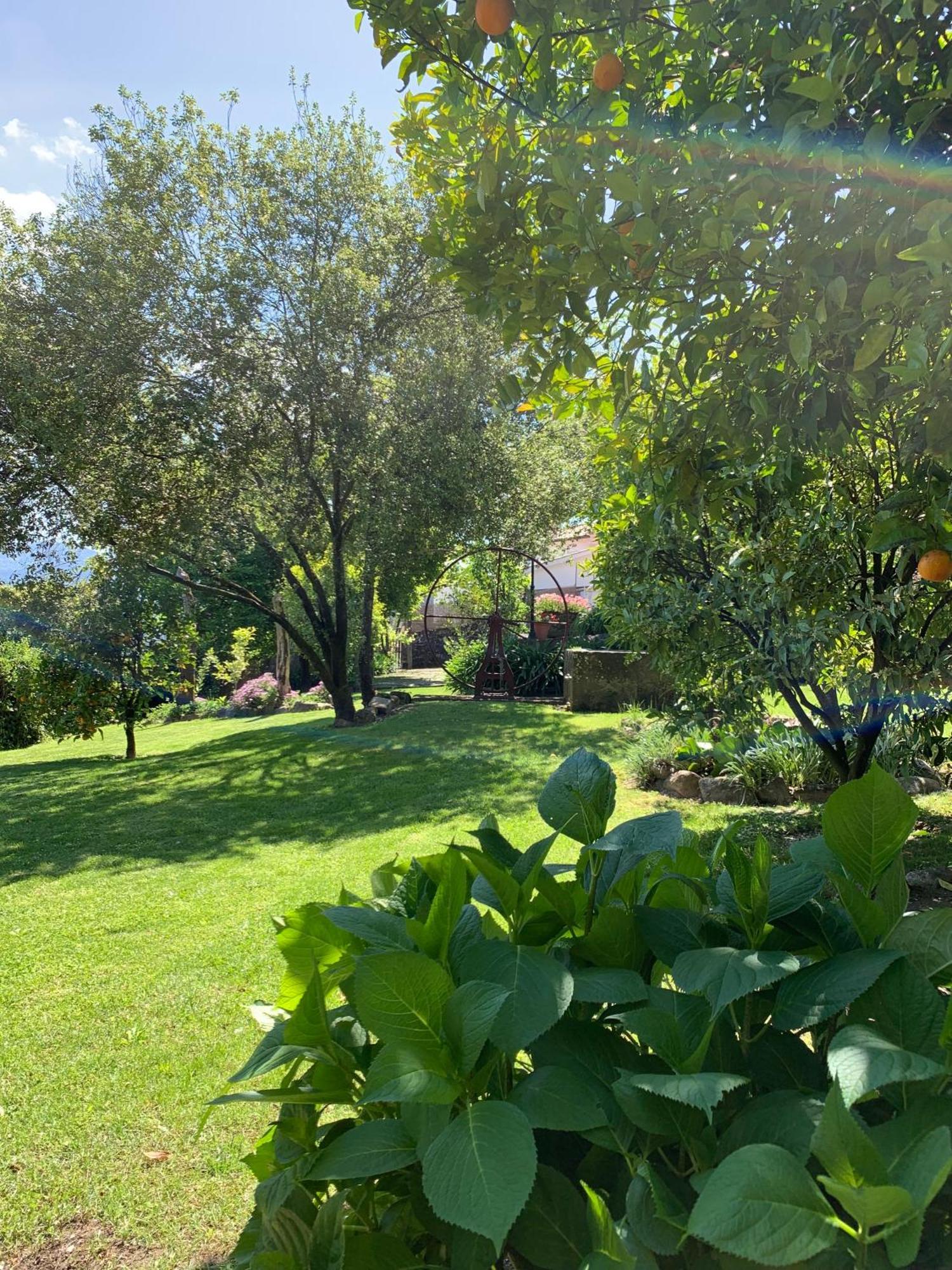 Quinta De Canhoes São Pedro do Sul Dış mekan fotoğraf