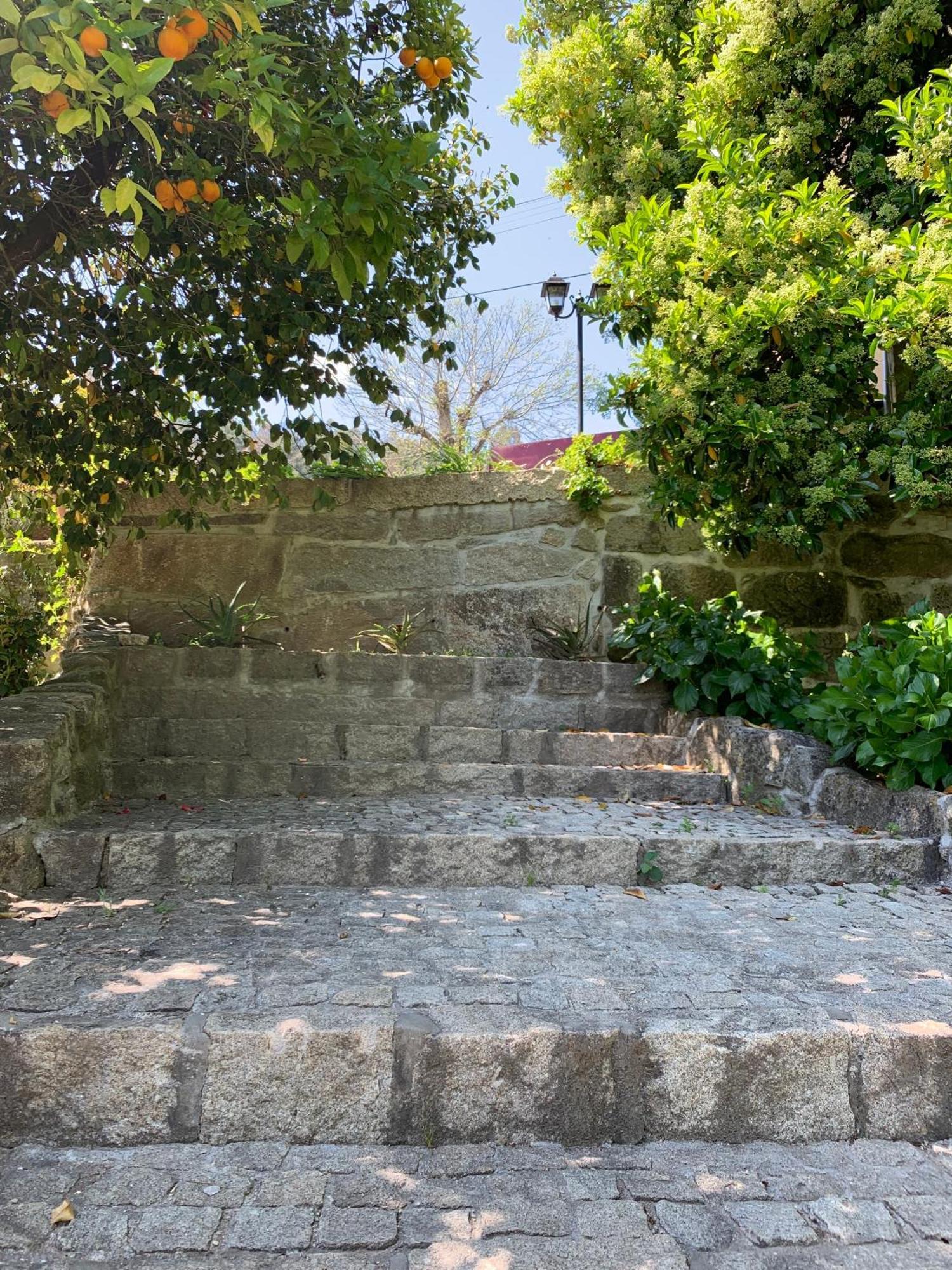 Quinta De Canhoes São Pedro do Sul Dış mekan fotoğraf