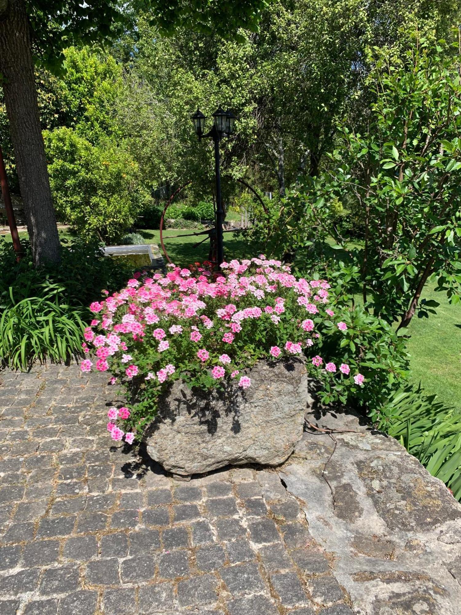 Quinta De Canhoes São Pedro do Sul Dış mekan fotoğraf